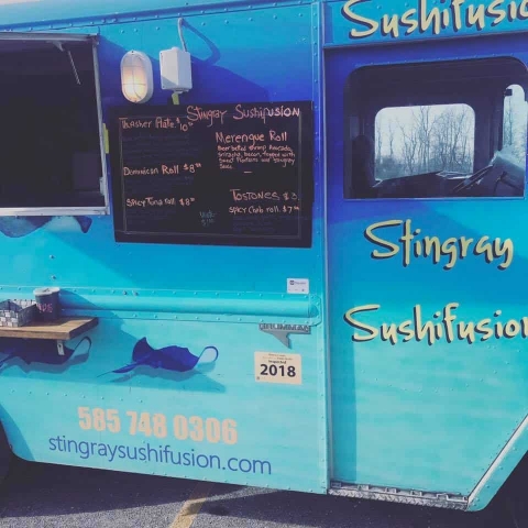 stingray fusion truck 2go-1